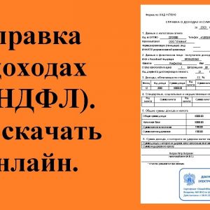 Список справок, которые можно заказать в налоговой в 2024 году